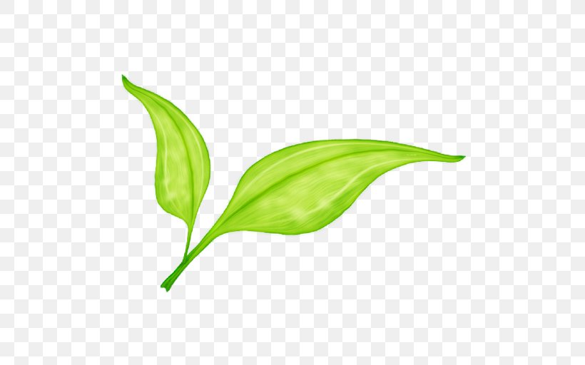 Leaf Green, PNG, 512x512px, Leaf, Element, Germination, Grass, Green Download Free