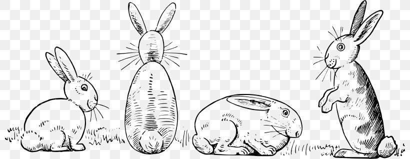 Domestic Rabbit Hare Drawing Sketch, PNG, 800x318px, Domestic Rabbit, Art, Artwork, Black And White, Drawing Download Free