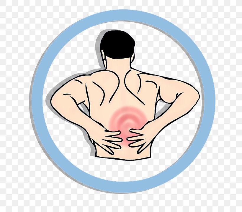 Middle Back Pain Low Back Pain Human Back Physical Therapy Chiropractic, PNG, 720x720px, Watercolor, Cartoon, Flower, Frame, Heart Download Free