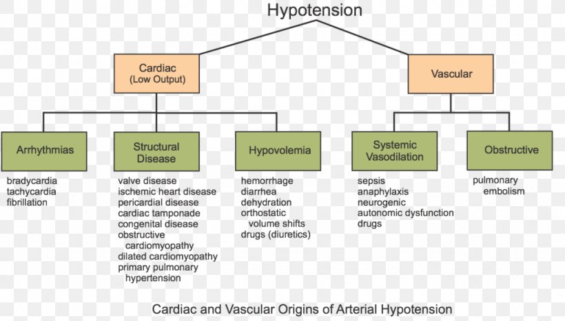 Orthostatic Hypotension Blood Pressure Mean Arterial Pressure Heart Failure, PNG, 1024x584px, Hypotension, Area, Blood, Blood Pressure, Brand Download Free