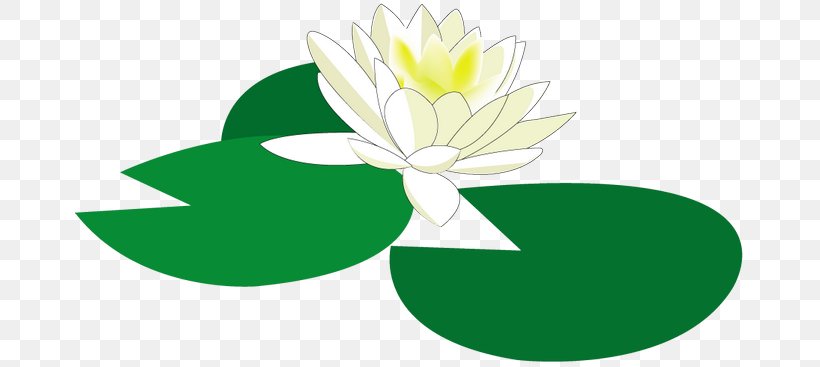 Water Lily Flower Floral Design Clip Art, PNG, 670x367px, Water Lily, Artwork, Cut Flowers, Flora, Floral Design Download Free