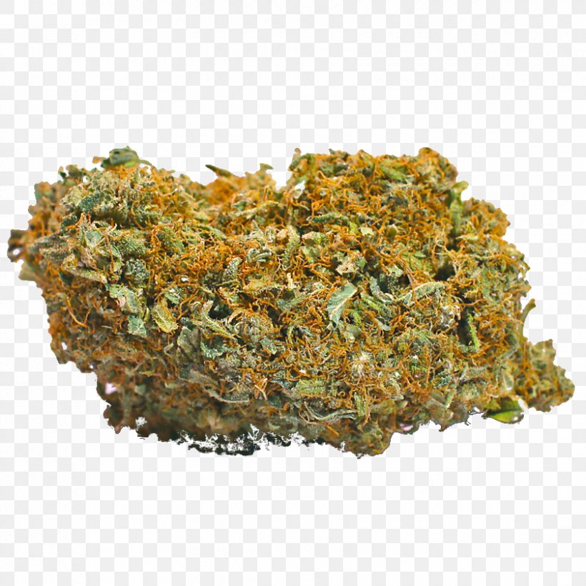 Cannabidiol Medical Cannabis Tetrahydrocannabinol Kush, PNG, 840x840px, Cannabidiol, Cannabinoid, Cannabis, Cannabis Cultivation, Cannabis Sativa Download Free