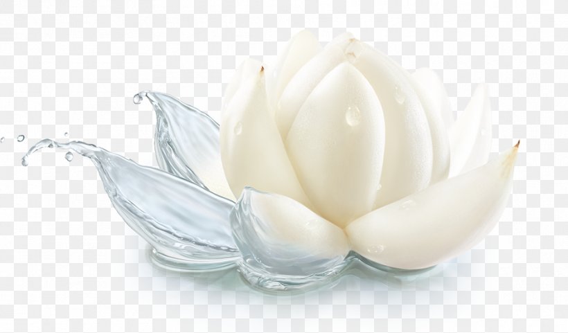 Flavor Cream Petal, PNG, 937x550px, Flavor, Cream, Dairy Product, Petal Download Free