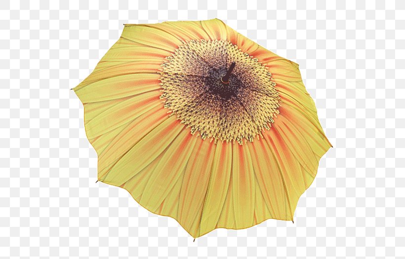 Umbrella Stand Yellow Clothing Accessories Red, PNG, 536x525px, Umbrella, Beige, Clothing, Clothing Accessories, Flower Download Free