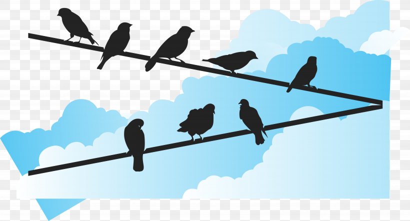 Bird Euclidean Vector Wire, PNG, 6749x3640px, Bird, Beak, Blue, Electrical Cable, Silhouette Download Free