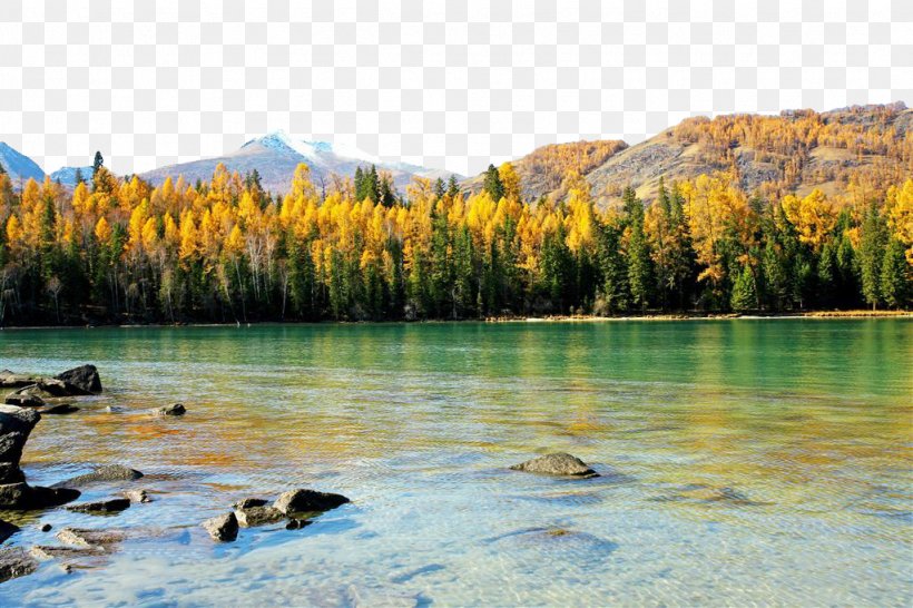 Kanas Lake Heavenly Lake Of Tianshan Xdcrxfcmqi Qinghai Lake Beitun, Xinjiang, PNG, 1024x682px, Kanas Lake, Bank, China, Heaven Lake, Heavenly Lake Of Tianshan Download Free