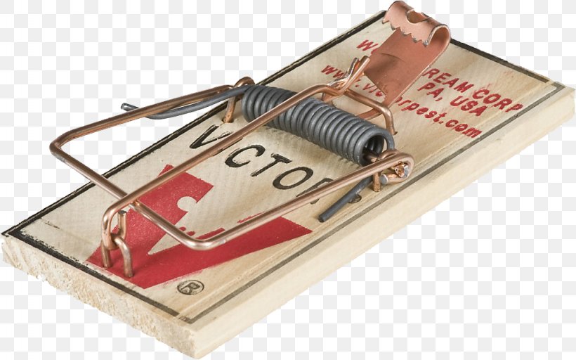 Mousetrap Rodent Trapping Rat Trap, PNG, 1024x640px, Rat, Animal Trap, Bait, Exterminator, House Mouse Download Free