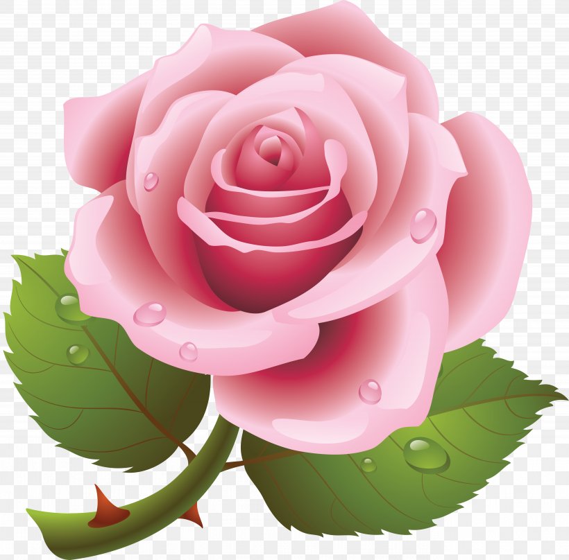 Rose Desktop Wallpaper Clip Art, PNG, 5293x5218px, Rose, Black Rose, China Rose, Cut Flowers, Drawing Download Free