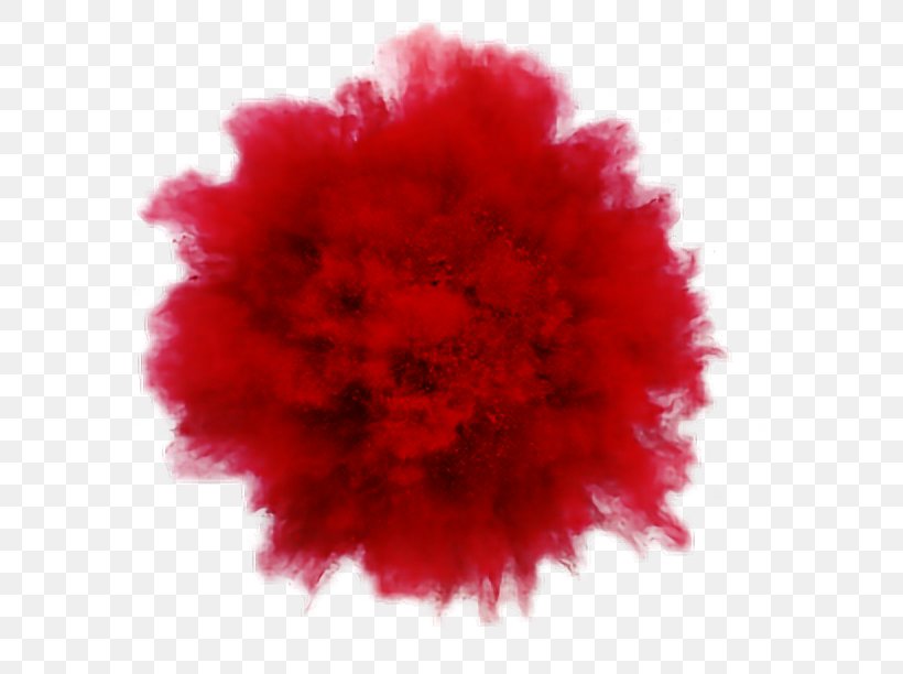Rouge Explosion Powder Photography Photographer, PNG, 592x612px, Rouge, Art, Carnation, Color, Cosmetics Download Free