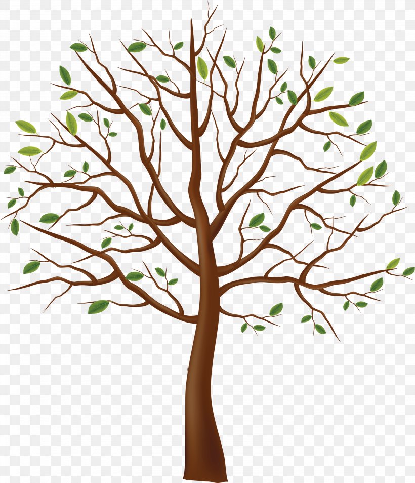 Realistic Big Tree Side View For Plan Big Tree Stocl Illustration Large  Tree Front View Vector Cartoon Tree Free Vector Illustration PNG  Transparent Clipart Image and PSD File for Free Download
