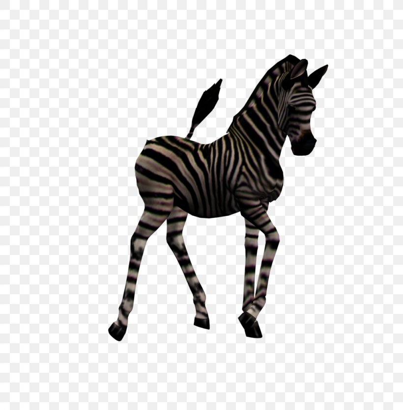 Zebra Foal Quagga Horse, PNG, 1024x1045px, Zebra, Animal, Animal Figure, Black And White, Equestrian Download Free