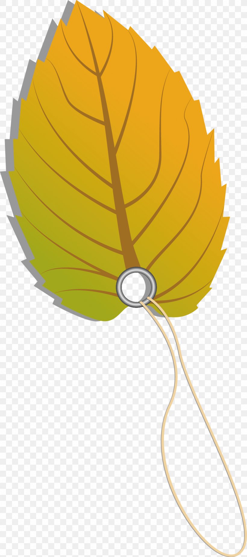 Leaf Clip Art, PNG, 955x2151px, Leaf, Bookmark, Designer, Flower, Flowering Plant Download Free