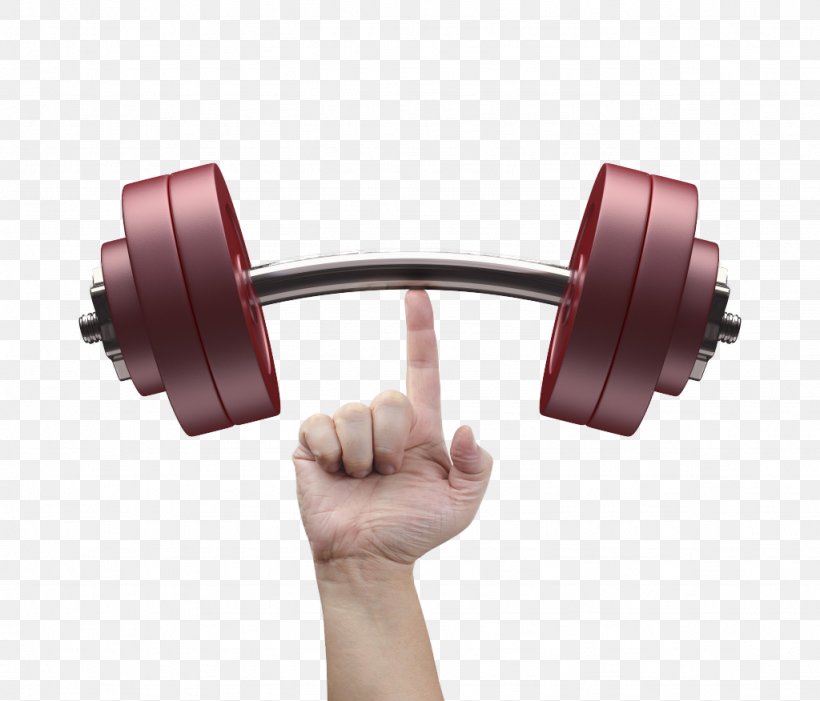 Barbell Weight Training Exercise Equipment Fitness Centre, PNG, 1024x876px, Barbell, Arm, Bodybuilding, Dumbbell, Exercise Equipment Download Free
