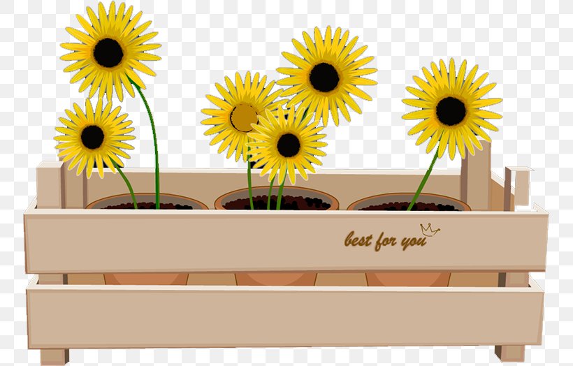 Common Sunflower Download, PNG, 753x524px, Common Sunflower, Adobe Flash Player, Animation, China Unicom, Daisy Family Download Free