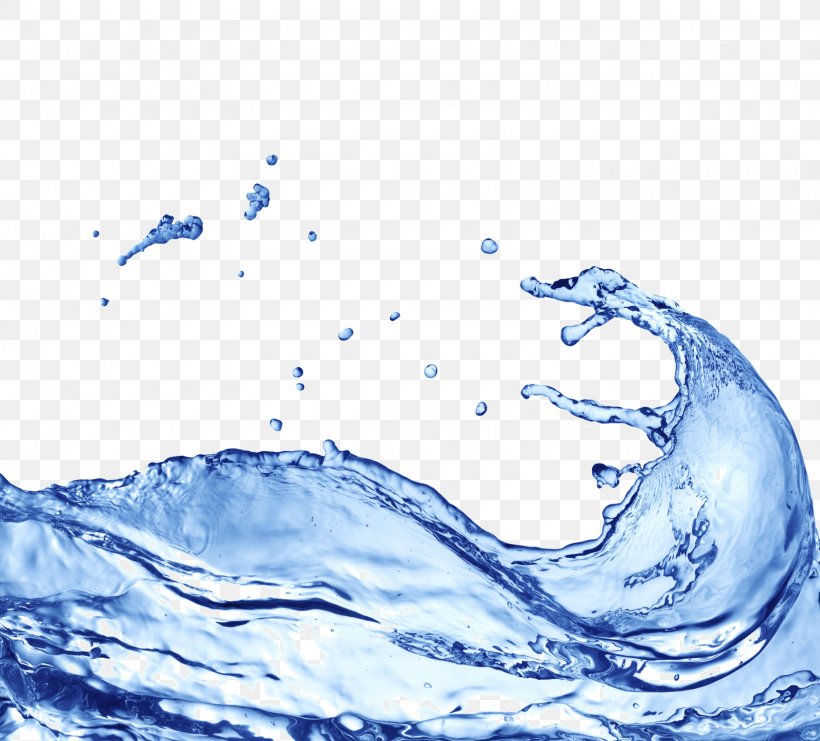 Drinking Water Wave Dispersion Drop, PNG, 1600x1446px, Water, Dispersion, Dolphin, Drinking Water, Drop Download Free