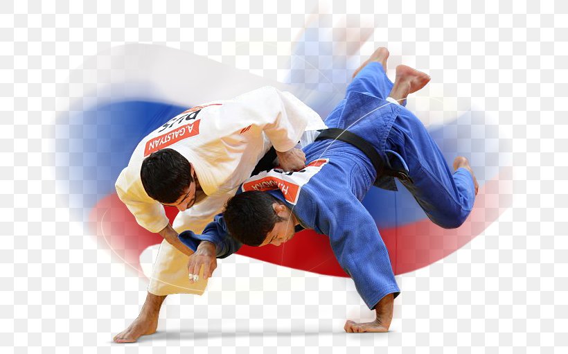 Judo Freestyle Wrestling Sport Sambo, PNG, 728x511px, Judo, Arm, Brazilian Jiu Jitsu, Child, Combat Sport Download Free
