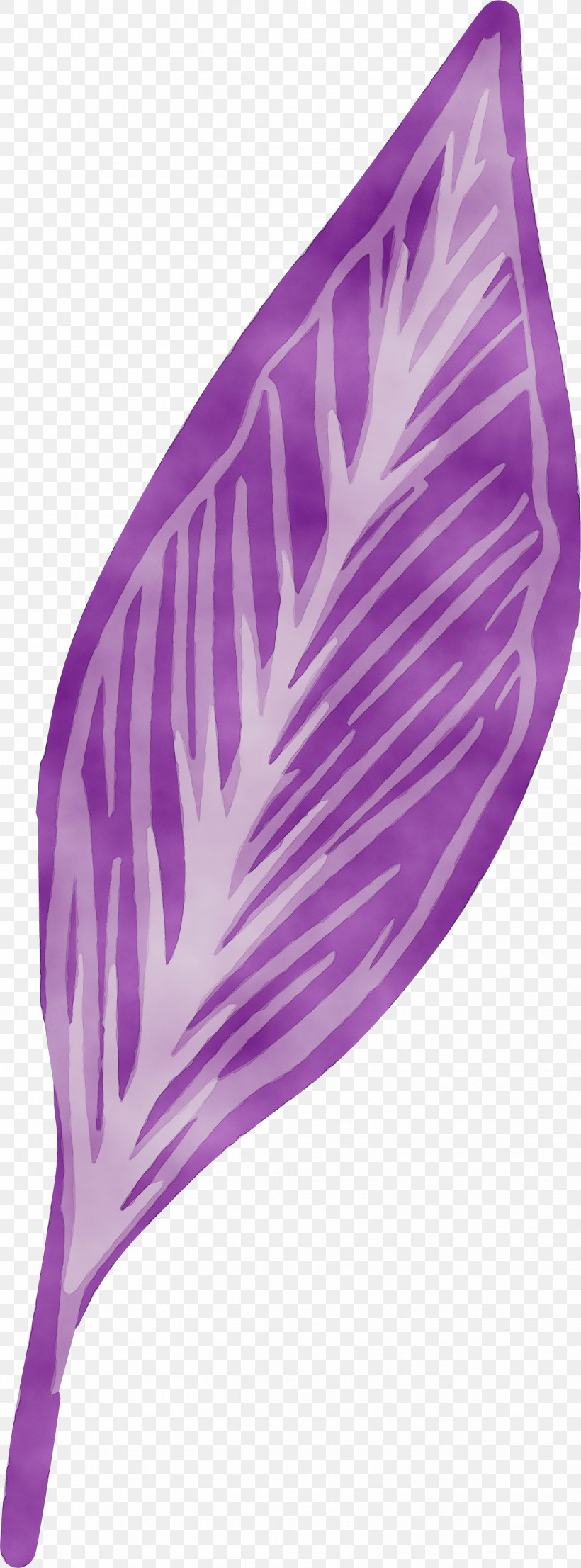 Purple, PNG, 1438x3882px, Leaf, Paint, Purple, Watercolor, Wet Ink Download Free