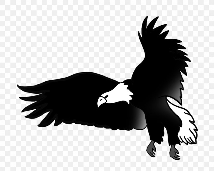Bald Eagle Circuit Diagram Drawing, PNG, 886x709px, Bald Eagle, Accipitriformes, Beak, Bird, Bird Of Prey Download Free