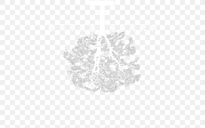 Pine Family, PNG, 512x512px, Pine, Black And White, Pine Family, Tree, White Download Free