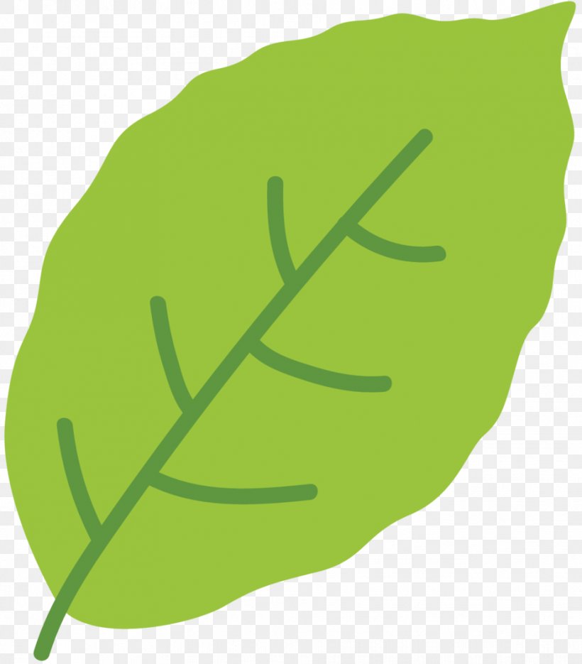 Clip Art Leaf Greens Plant Stem Product Design, PNG, 931x1062px, Leaf, Botany, Fruit, Green, Greens Download Free
