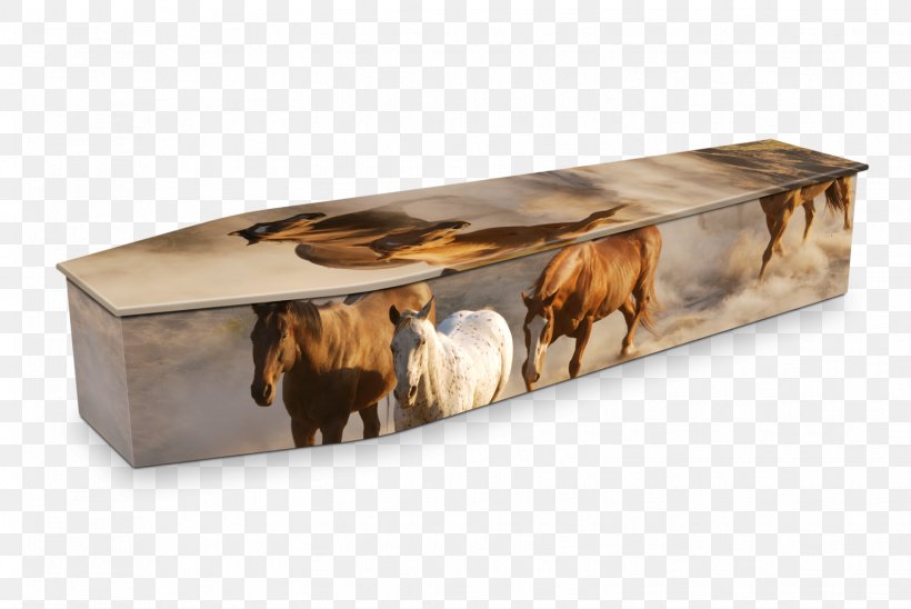 Expression Coffins Natural Burial Swanborough Funerals Michael Crawford Funerals, PNG, 1549x1037px, Expression Coffins, Australia, Batesville Casket Company, Box, Burial Download Free