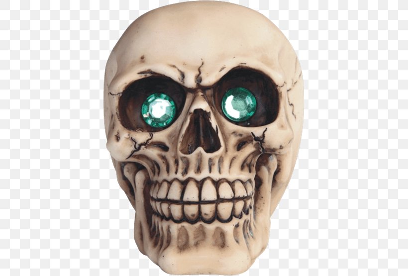 Human Skull Facial Skeleton Skull And Crossbones Jaw, PNG, 555x555px, Skull, Bone, Color, Crystal Skull, Death Download Free
