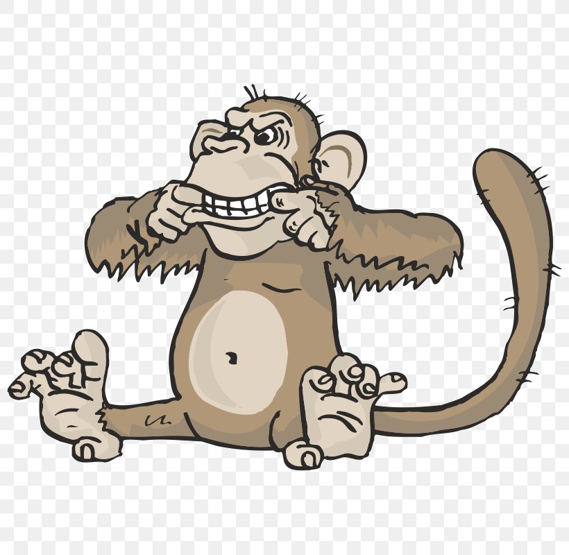 Monkey Clip Art Macaque Desktop Wallpaper Animal, PNG, 800x800px, Monkey, Animal, Carnivoran, Cartoon, Cat Like Mammal Download Free