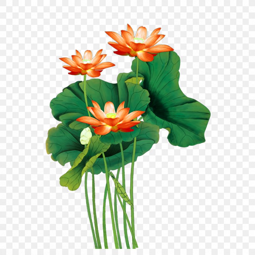 Nelumbo Nucifera Floral Design, PNG, 1000x1000px, Nelumbo Nucifera, Annual Plant, Artificial Flower, Cut Flowers, Floral Design Download Free