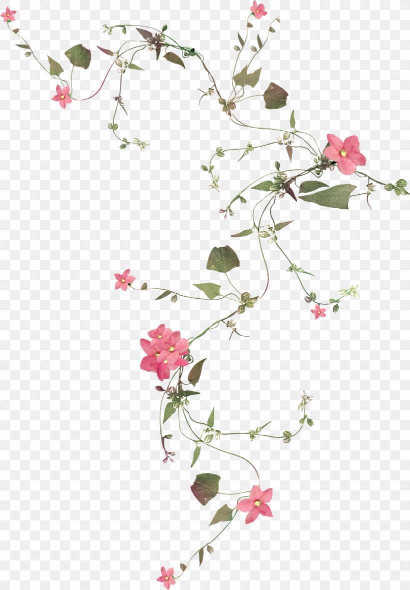 Flower Vine Plant, PNG, 1390x2000px, Flower, Blossom, Branch, Cherry Blossom, Drawing Download Free