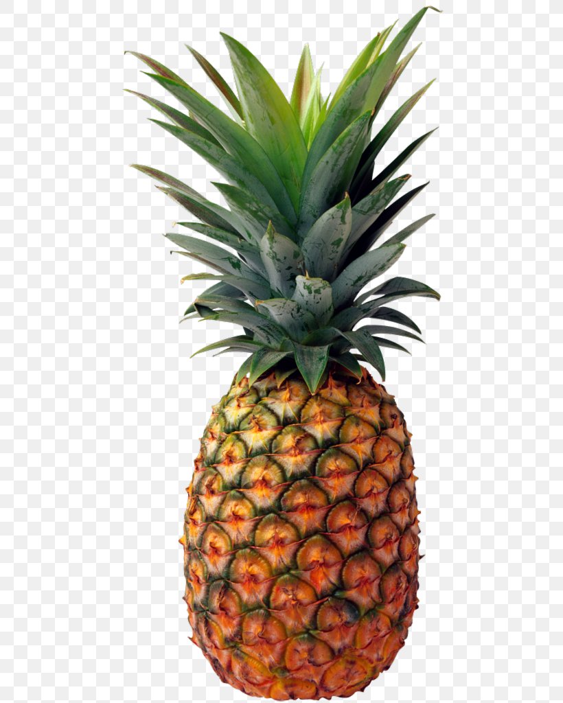 Pineapple Cake Clip Art Image, PNG, 484x1024px, Pineapple Cake, Ananas, Bromeliaceae, Food, Fruit Download Free