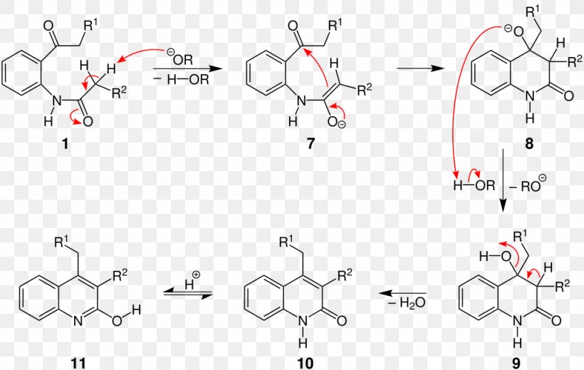 Camps Quinoline Synthesis Favorskii Rearrangement Friedländer Synthesis Combes Quinoline Synthesis Rearrangement Reaction, PNG, 1024x649px, Favorskii Rearrangement, Acyl Group, Amine, Area, Base Download Free