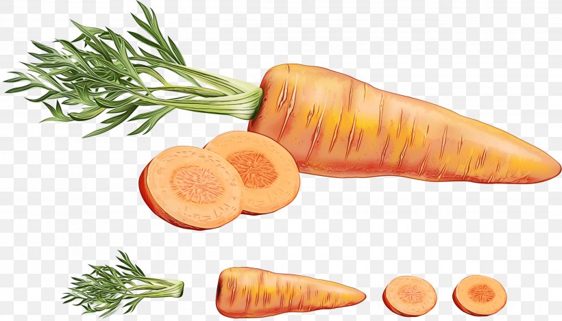 Carrot Root Vegetable Vegetable Parsnip Food, PNG, 2593x1486px, Watercolor, Arracacia Xanthorrhiza, Carrot, Food, Natural Foods Download Free