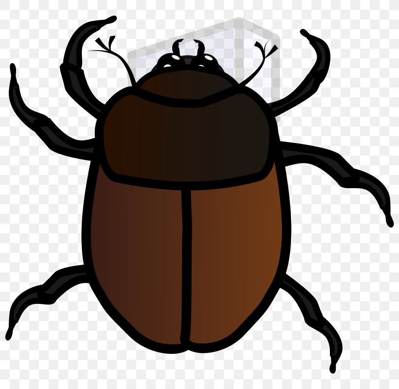 Beetle Clip Art, PNG, 800x800px, Beetle, Amphimallon Solstitiale, Artwork, Drawing, Insect Download Free