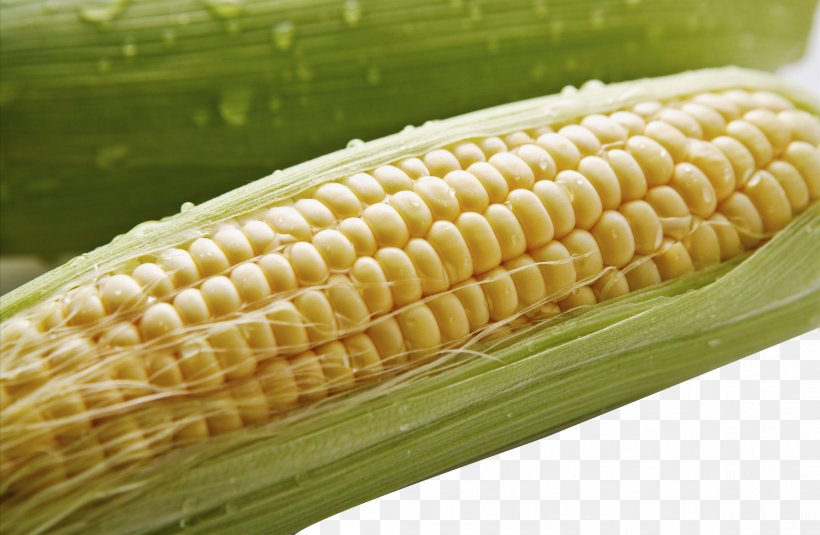 Corn On The Cob Maize Food Crops Google Images, PNG, 2312x1509px, Corn On The Cob, Cereal, Commodity, Corn Kernel, Corn Kernels Download Free