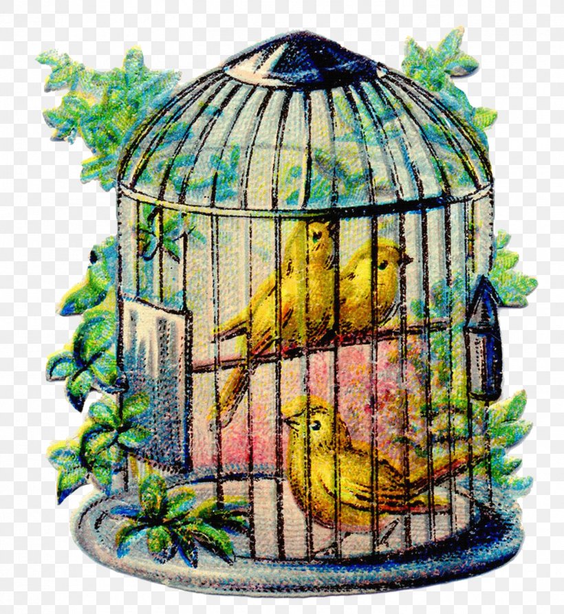 Domestic Canary Birdcage Clip Art, PNG, 1469x1600px, Domestic Canary, Aviary, Beak, Bird, Bird Houses Download Free