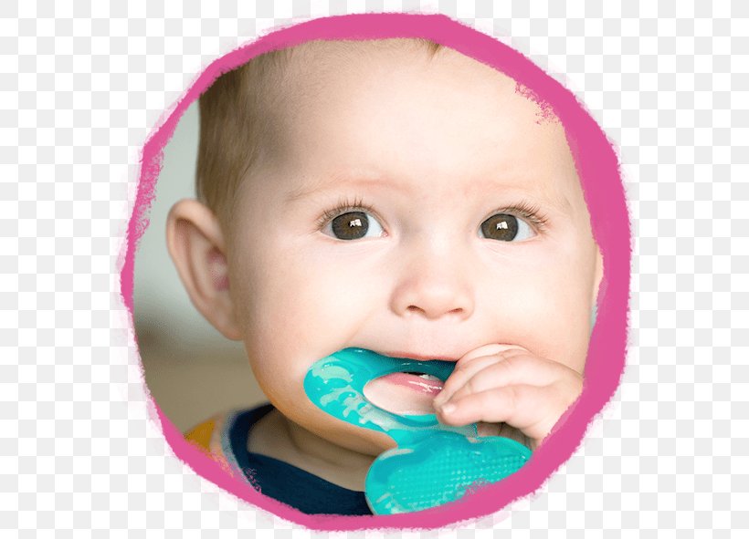 Teething Baby Food Infant Child Gums, PNG, 573x591px, Teething, Baby Food, Baby Toys, Babycenter, Cheek Download Free