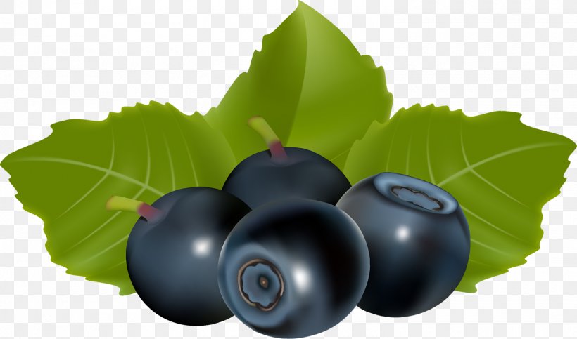 Blueberry Huckleberry Fruit, PNG, 1500x885px, Blueberry, Berry, Bilberry, Damson, Food Download Free