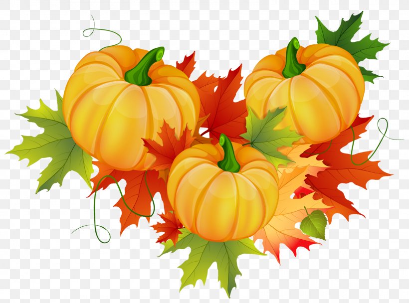 Calabaza Pumpkin Clip Art Thanksgiving, PNG, 1600x1188px, Watercolor, Cartoon, Flower, Frame, Heart Download Free