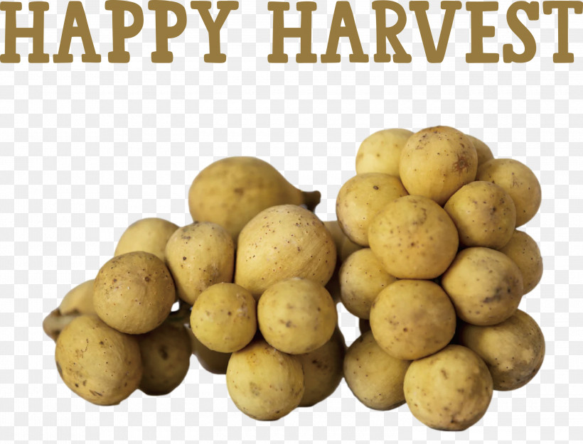Happy Harvest Harvest Time, PNG, 3000x2288px, Happy Harvest, Cheesy Potatoes, Cooking, Harvest Time, Ingredient Download Free