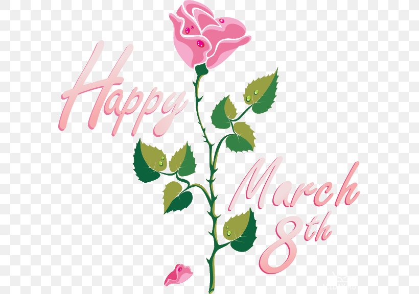 International Women's Day 8 March Woman Happiness Wish, PNG, 591x576px, 8 March, Birthday, Christmas, Cut Flowers, Flora Download Free