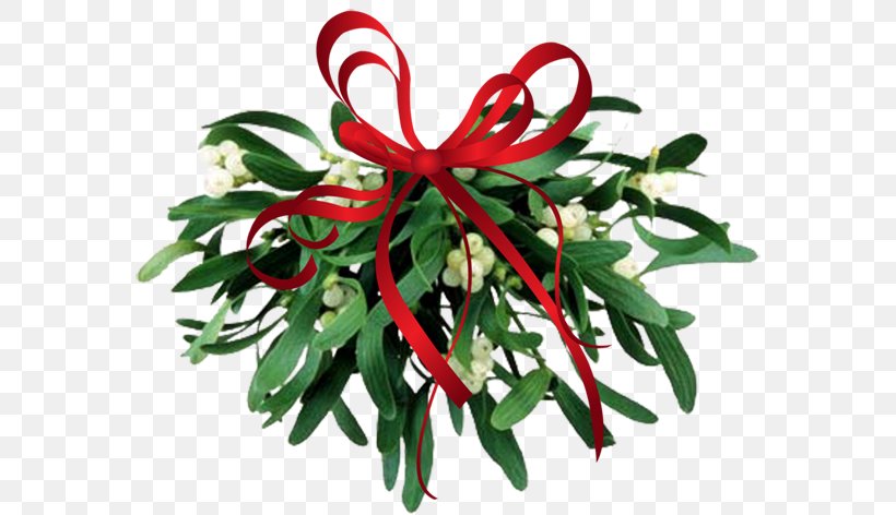 Mistletoe Christmas Clip Art, PNG, 600x472px, Mistletoe, Christmas, Christmas Decoration, Christmas Gift, Cut Flowers Download Free