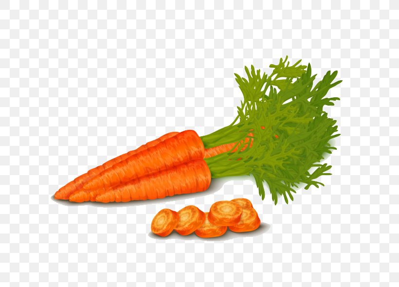 Organic Food Vegetable Carrot Royalty-free, PNG, 650x590px, Organic Food, Baby Carrot, Carrot, Diet Food, Food Download Free