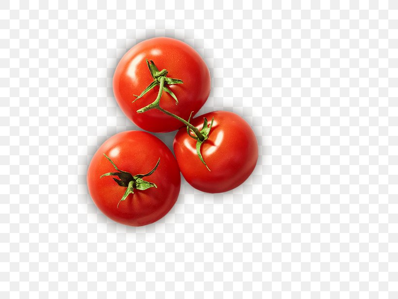 Plum Tomato Ham Wrap Food, PNG, 600x616px, Plum Tomato, Bush Tomato, Chicken As Food, Delicatessen, Diet Food Download Free