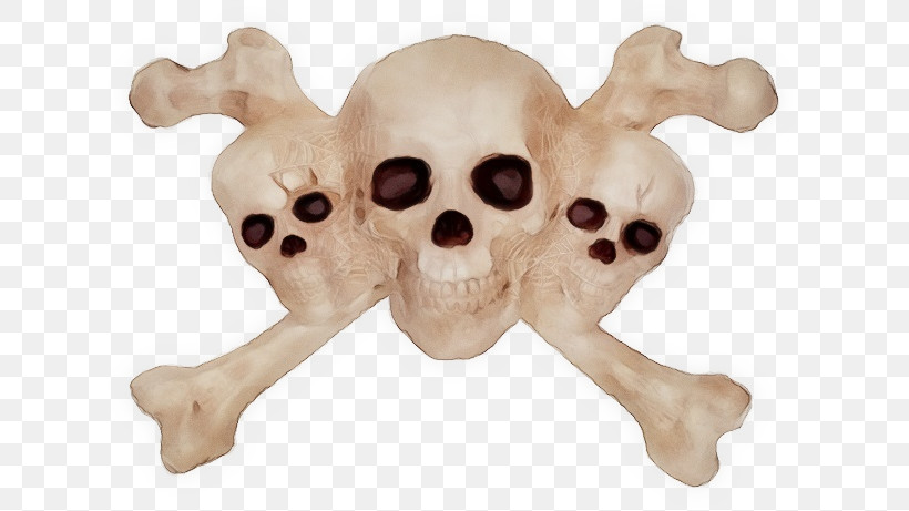 Skull And Crossbones, PNG, 630x461px, Watercolor, Cross Bones Skull, Figurine, Human Skeleton, Paint Download Free