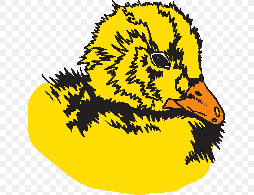 Duck Download Clip Art, PNG, 640x631px, Duck, Artwork, Beak, Bird, Chicken Download Free