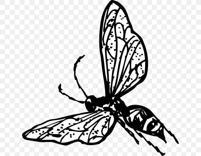 Insect Bee Wasp Clip Art, PNG, 640x635px, Insect, Arthropod, Artwork, Bee, Black And White Download Free
