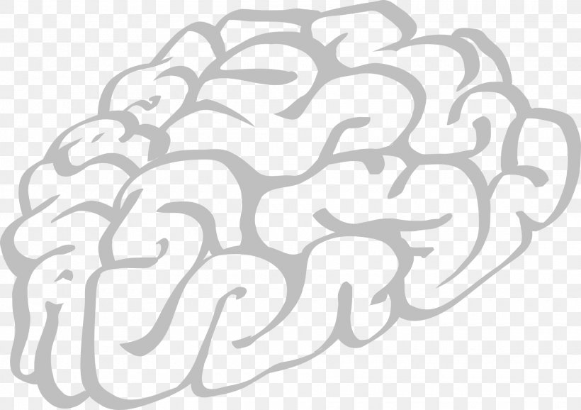 Outline Of The Human Brain Drawing Clip Art, PNG, 1920x1355px, Watercolor, Cartoon, Flower, Frame, Heart Download Free