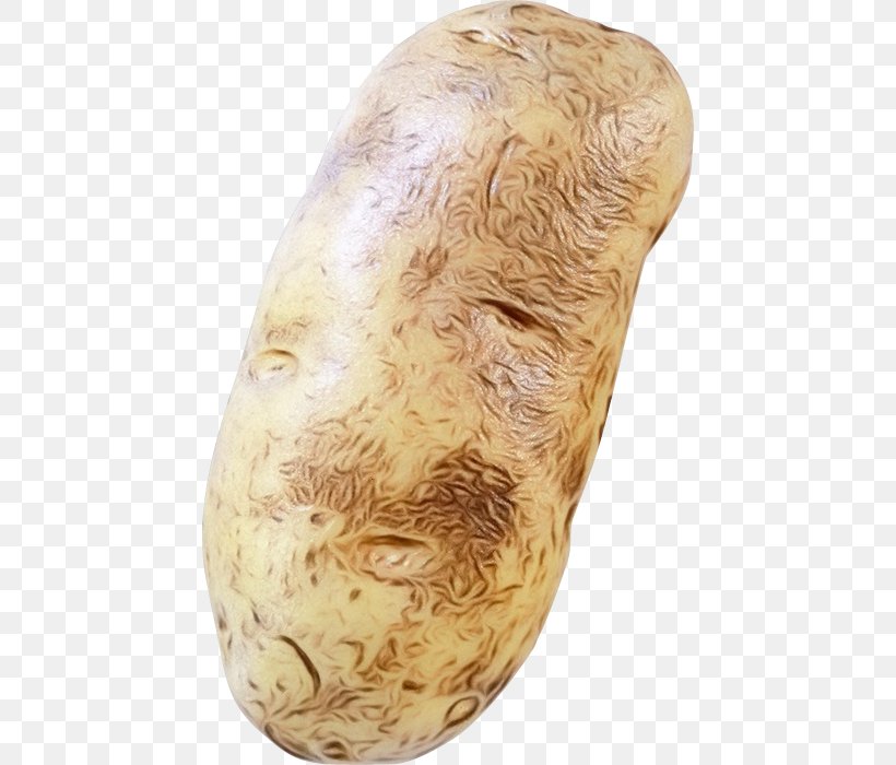 Potato Cartoon, PNG, 450x700px, Artifact, Beige, Potato, Root Vegetable, Shoe Download Free