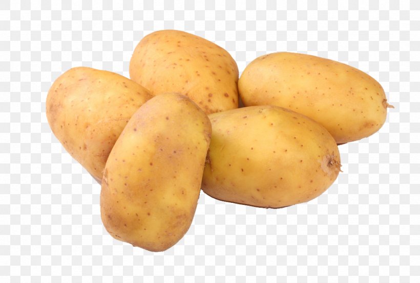 Mashed Potato Potato Ricer Purxe9e Potato Masher, PNG, 1024x692px, Mashed Potato, Cooking, Fingerling Potato, Food, Fruchtgemxfcse Download Free