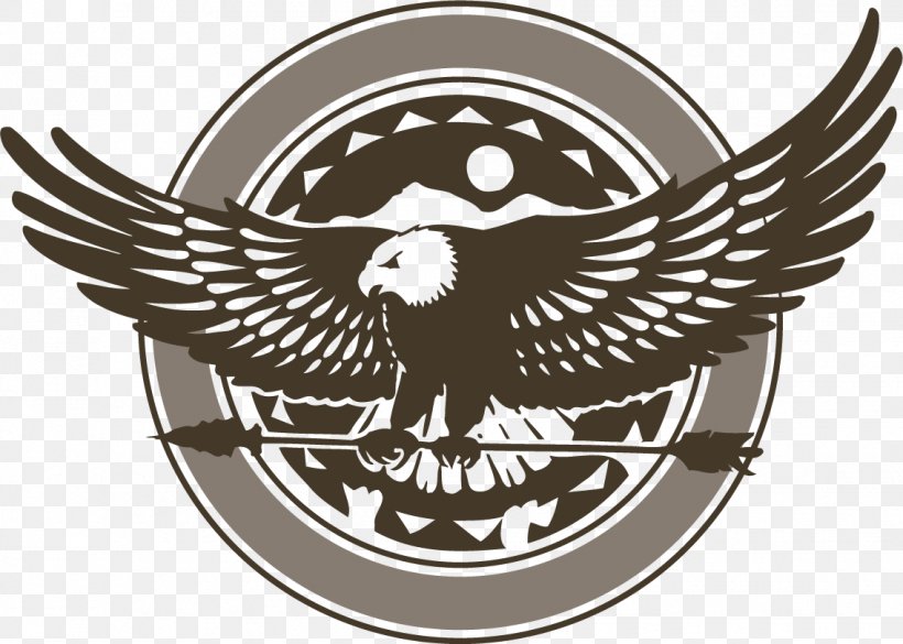 Bald Eagle Logo Hawk, PNG, 1135x811px, Bald Eagle, Brand, Eagle, Eagle Eye, Emblem Download Free